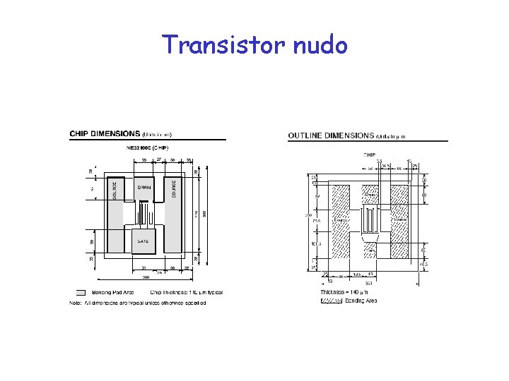 Transistor nudo 