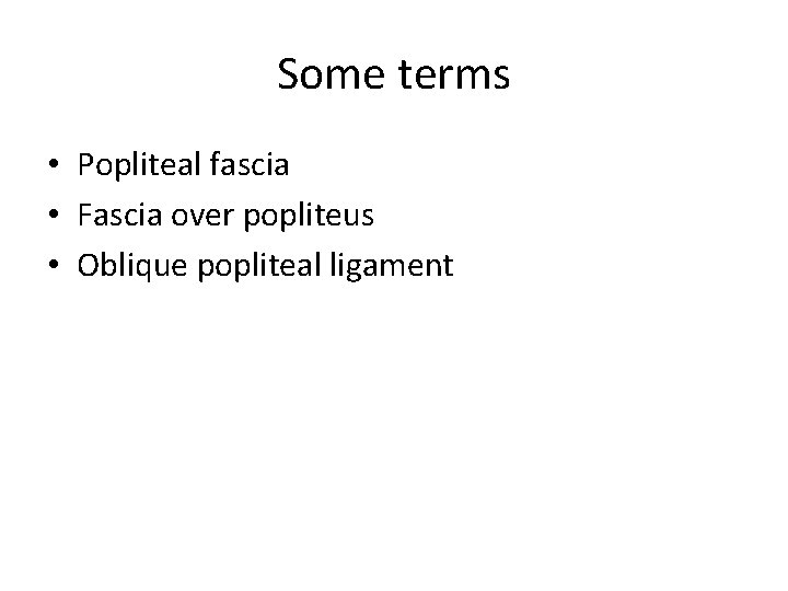 Some terms • Popliteal fascia • Fascia over popliteus • Oblique popliteal ligament 