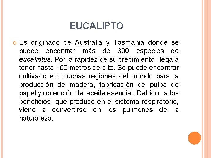 EUCALIPTO Es originado de Australia y Tasmania donde se puede encontrar más de 300