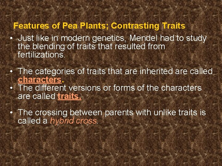 Features of Pea Plants; Contrasting Traits • Just like in modern genetics, Mendel had