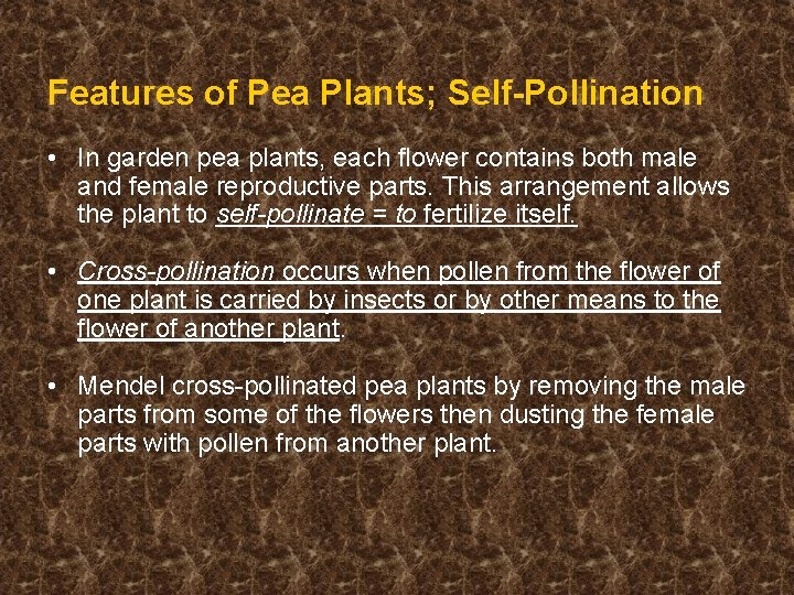 Features of Pea Plants; Self-Pollination • In garden pea plants, each flower contains both