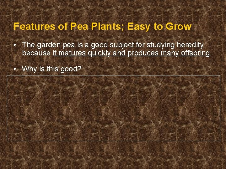 Features of Pea Plants; Easy to Grow • The garden pea is a good