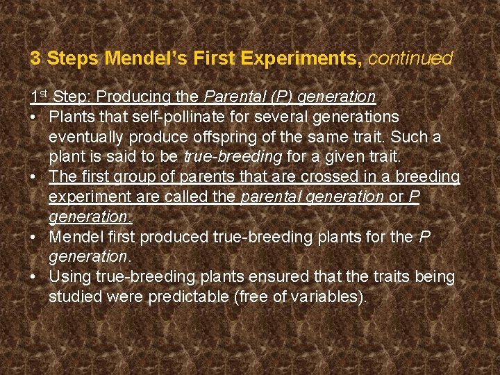 3 Steps Mendel’s First Experiments, continued 1 st Step: Producing the Parental (P) generation