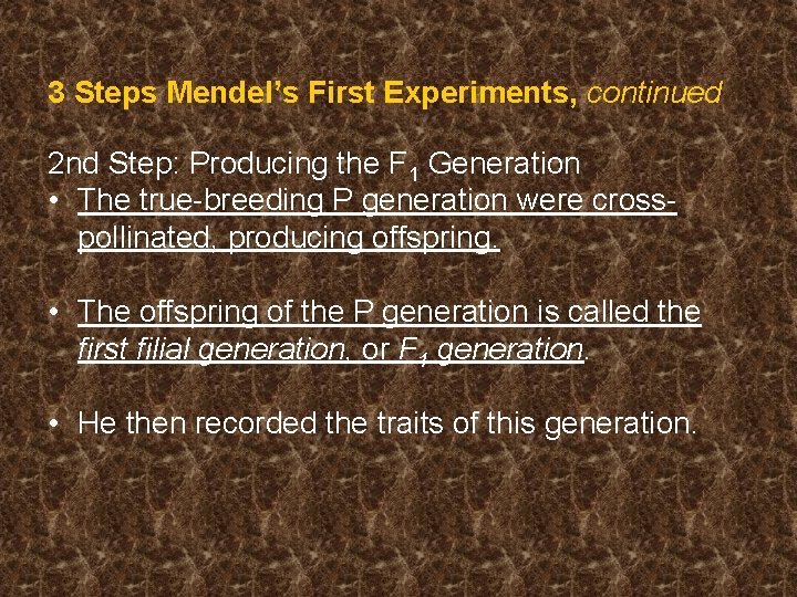 3 Steps Mendel’s First Experiments, continued 2 nd Step: Producing the F 1 Generation