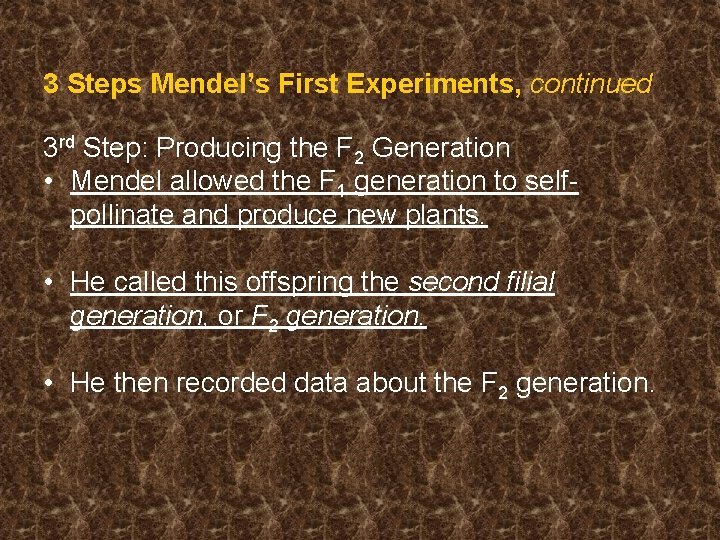 3 Steps Mendel’s First Experiments, continued 3 rd Step: Producing the F 2 Generation