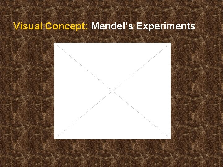 Visual Concept: Mendel’s Experiments 