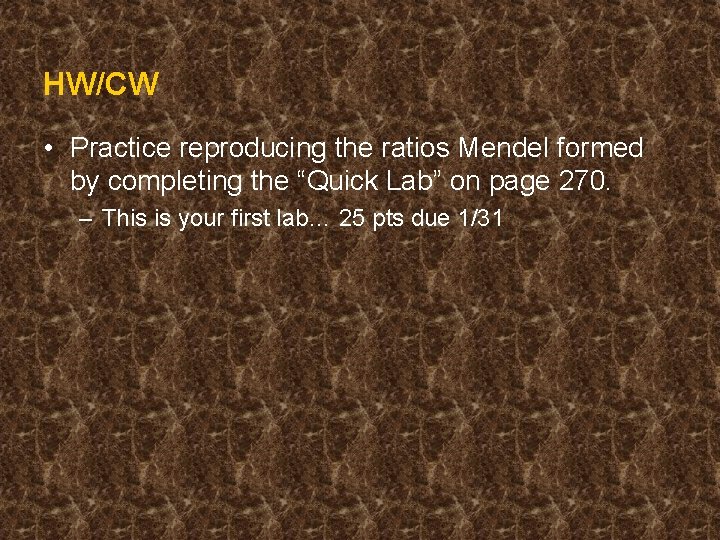 HW/CW • Practice reproducing the ratios Mendel formed by completing the “Quick Lab” on