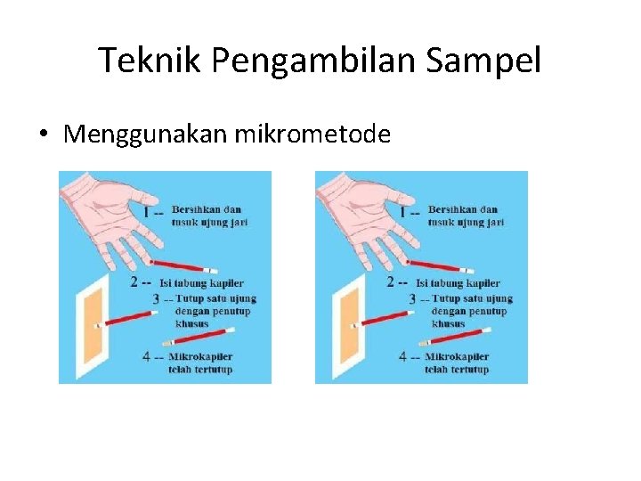 Teknik Pengambilan Sampel • Menggunakan mikrometode 