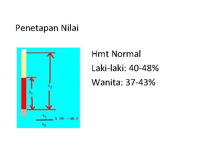 Penetapan Nilai Hmt Normal Laki-laki: 40 -48% Wanita: 37 -43% 