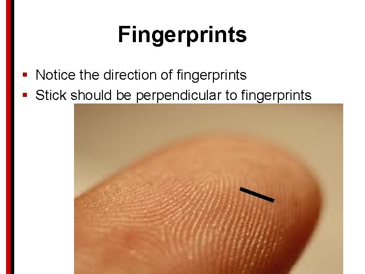 Fingerprints § Notice the direction of fingerprints § Stick should be perpendicular to fingerprints