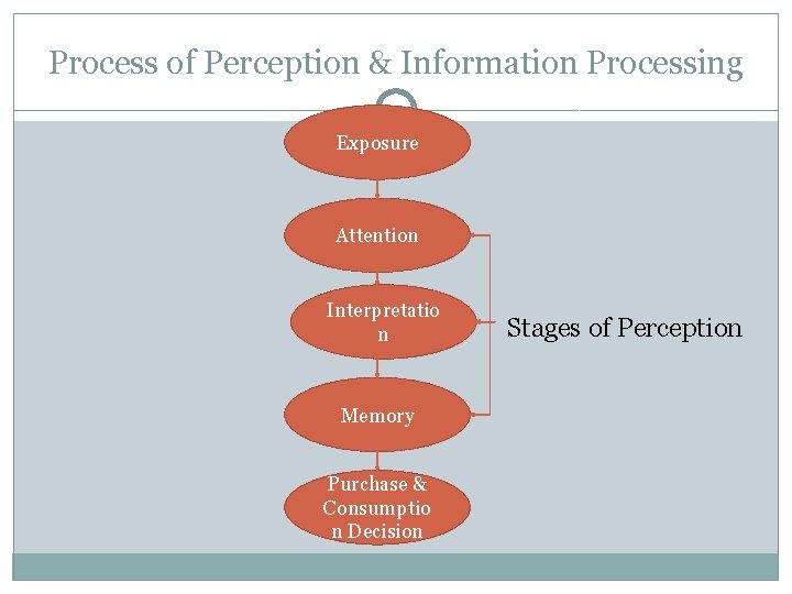 Process of Perception & Information Processing Exposure Attention Interpretatio n Memory Purchase & Consumptio