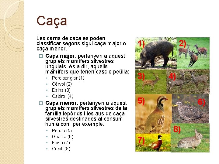 Caça Les carns de caça es poden classificar segons sigui caça major o caça