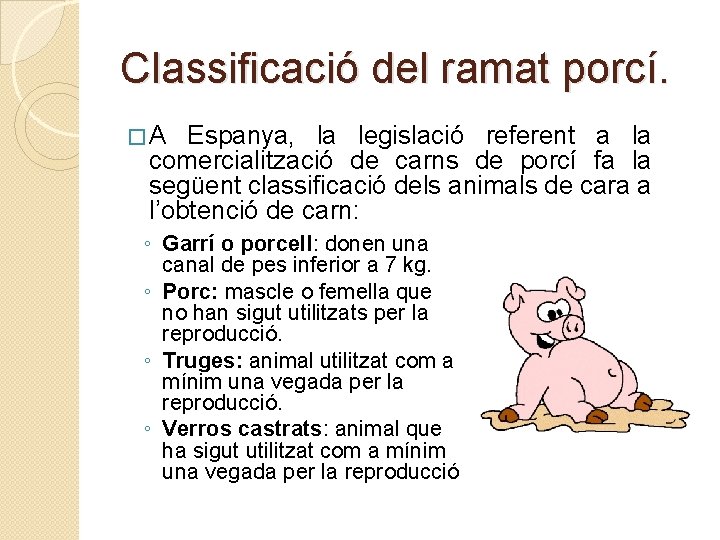 Classificació del ramat porcí. �A Espanya, la legislació referent a la comercialització de carns