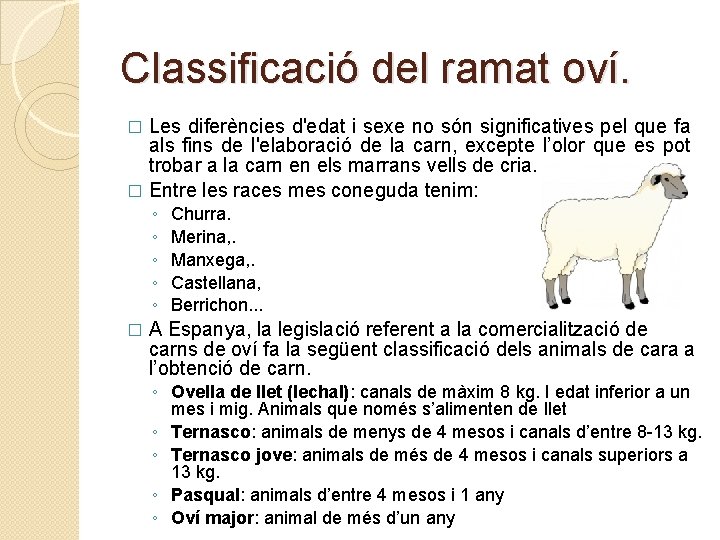 Classificació del ramat oví. Les diferències d'edat i sexe no són significatives pel que