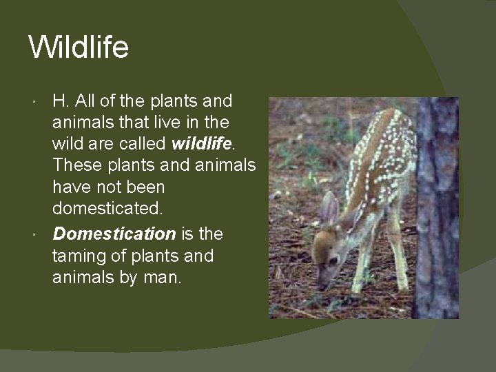 Wildlife H. All of the plants and animals that live in the wild are