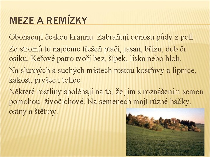 MEZE A REMÍZKY Obohacují českou krajinu. Zabraňují odnosu půdy z polí. Ze stromů tu