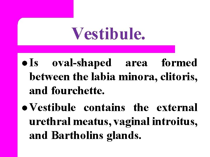 Vestibule. l Is oval-shaped area formed between the labia minora, clitoris, and fourchette. l