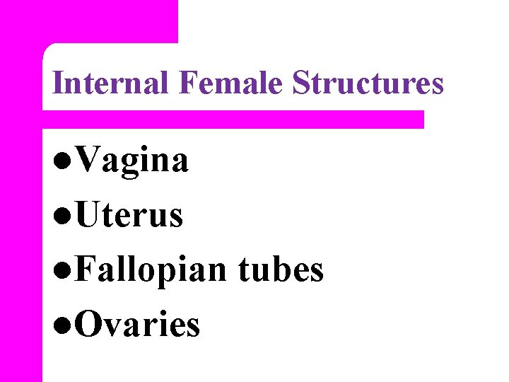 Internal Female Structures l. Vagina l. Uterus l. Fallopian l. Ovaries tubes 