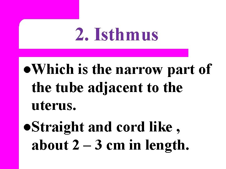 2. Isthmus l. Which is the narrow part of the tube adjacent to the