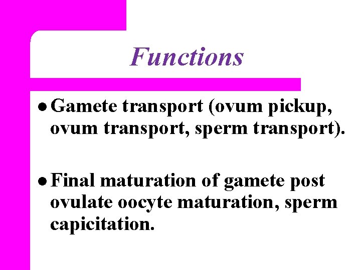 Functions l Gamete transport (ovum pickup, ovum transport, sperm transport). l Final maturation of