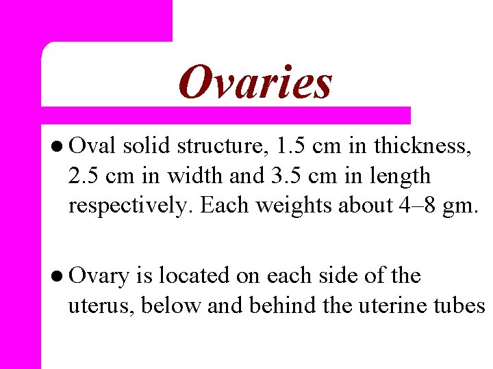 Ovaries l Oval solid structure, 1. 5 cm in thickness, 2. 5 cm in