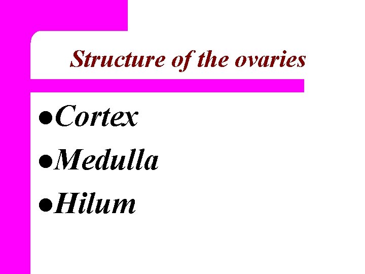 Structure of the ovaries l. Cortex l. Medulla l. Hilum 