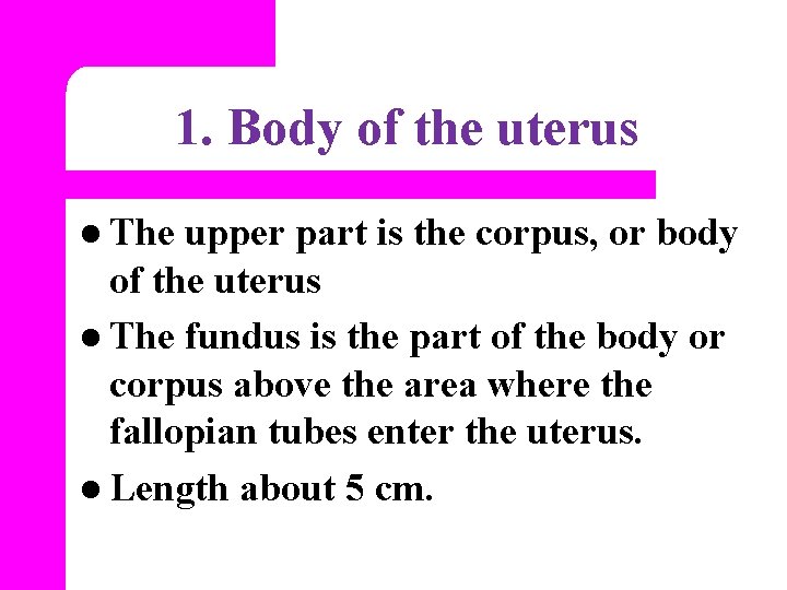 1. Body of the uterus l The upper part is the corpus, or body