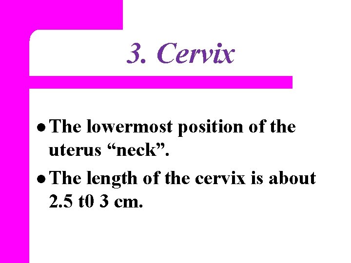 3. Cervix l The lowermost position of the uterus “neck”. l The length of