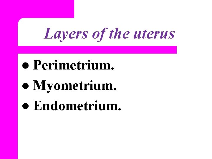 Layers of the uterus Perimetrium. l Myometrium. l Endometrium. l 