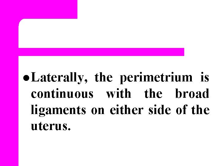 l Laterally, the perimetrium is continuous with the broad ligaments on either side of
