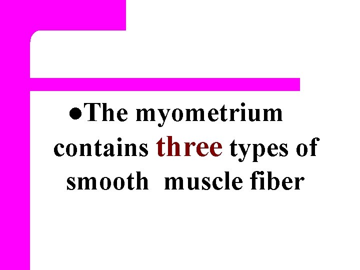 l. The myometrium contains three types of smooth muscle fiber 