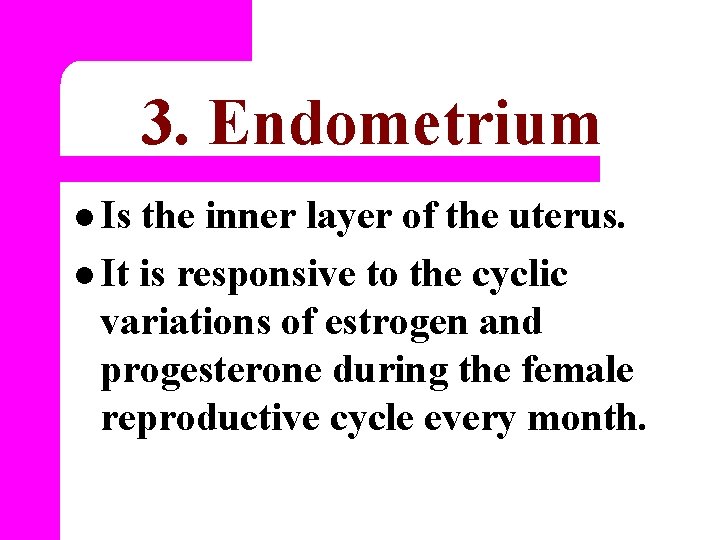 3. Endometrium l Is the inner layer of the uterus. l It is responsive