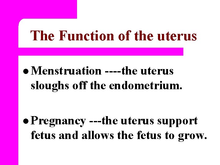 The Function of the uterus l Menstruation ----the uterus sloughs off the endometrium. l