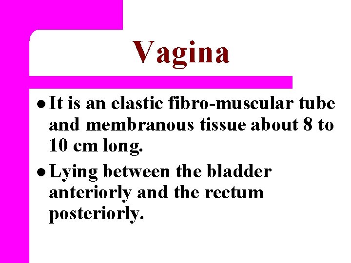 Vagina l It is an elastic fibro-muscular tube and membranous tissue about 8 to