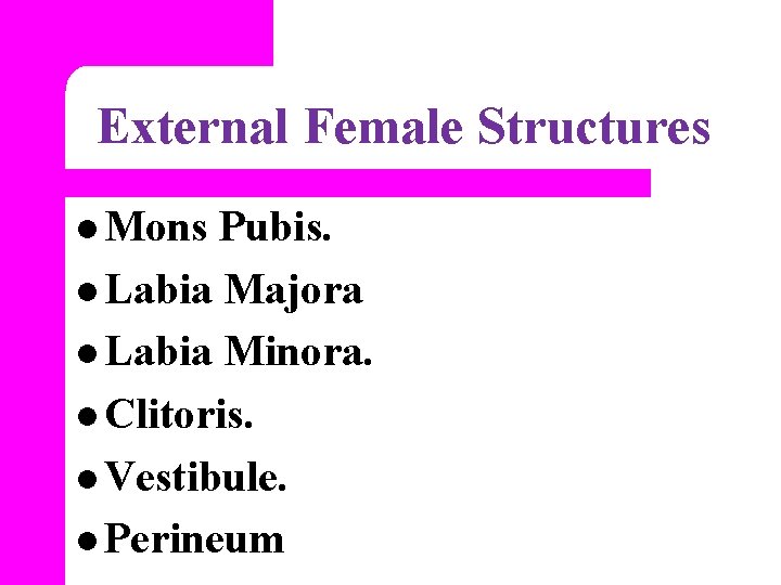 External Female Structures l Mons Pubis. l Labia Majora l Labia Minora. l Clitoris.