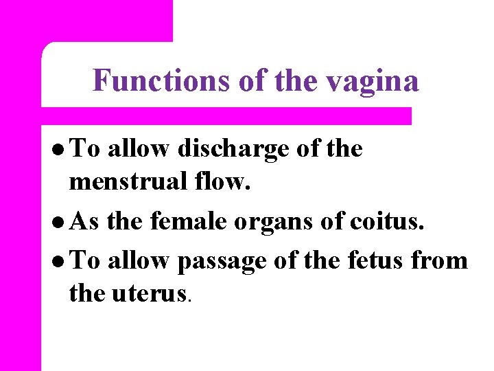 Functions of the vagina l To allow discharge of the menstrual flow. l As