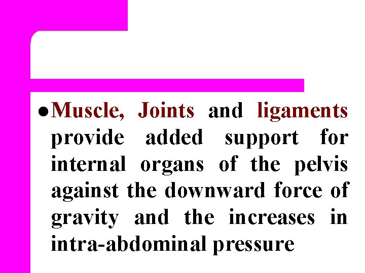 l Muscle, Joints and ligaments provide added support for internal organs of the pelvis