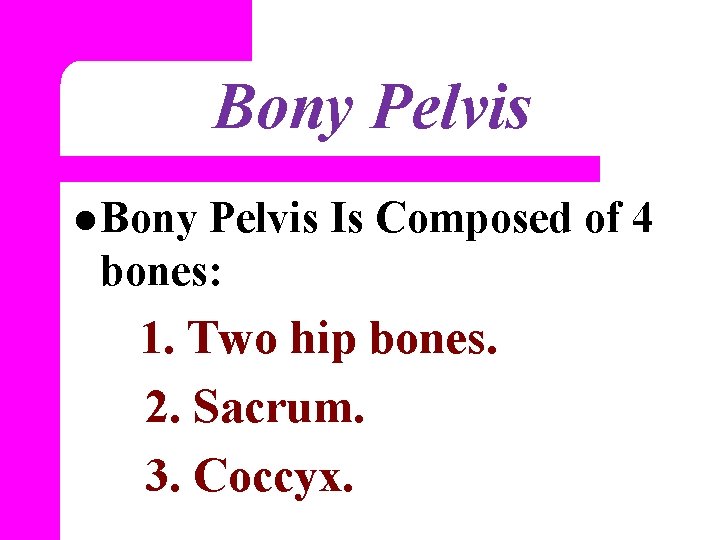 Bony Pelvis l Bony Pelvis Is Composed of 4 bones: 1. Two hip bones.