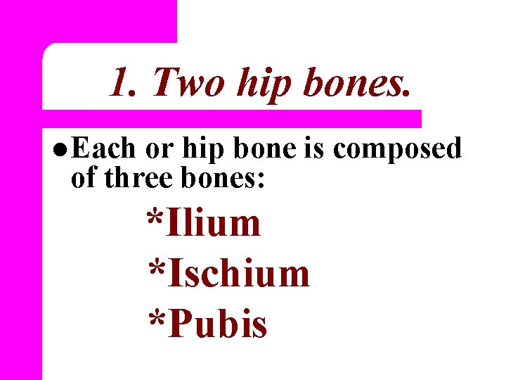 1. Two hip bones. l Each or hip bone is composed of three bones: