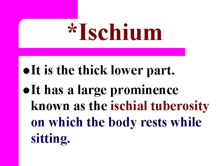 *Ischium l It is the thick lower part. l It has a large prominence