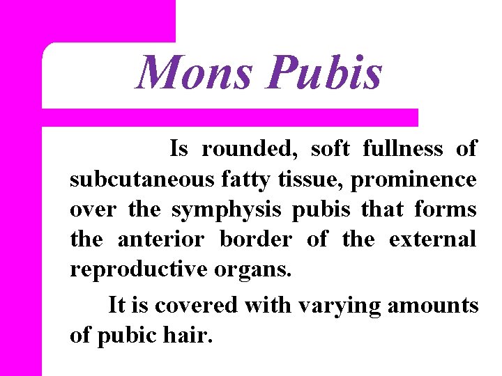 Mons Pubis Is rounded, soft fullness of subcutaneous fatty tissue, prominence over the symphysis