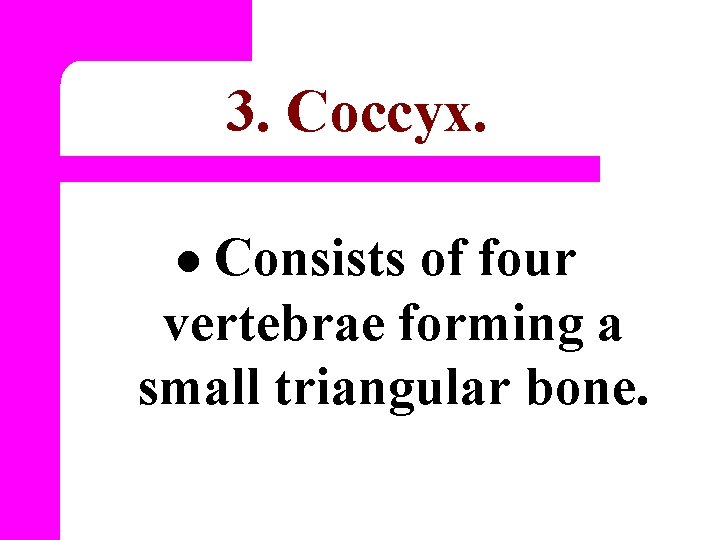 3. Coccyx. Consists of four vertebrae forming a small triangular bone. l 