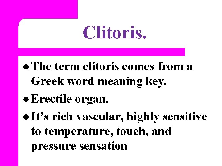 Clitoris. l The term clitoris comes from a Greek word meaning key. l Erectile