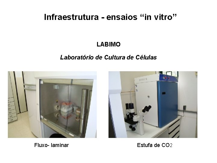 Infraestrutura - ensaios “in vitro” LABIMO Laboratório de Cultura de Células Fluxo- laminar Estufa