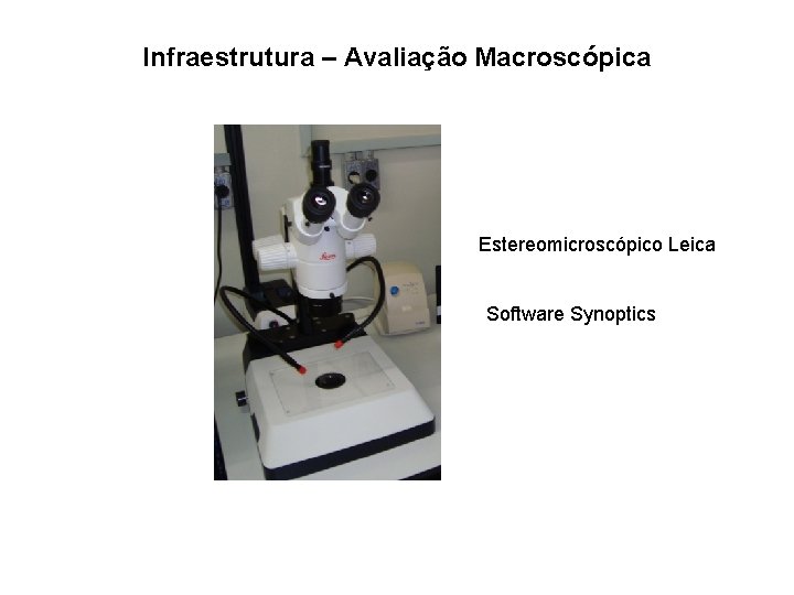 Infraestrutura – Avaliação Macroscópica Estereomicroscópico Leica Software Synoptics 