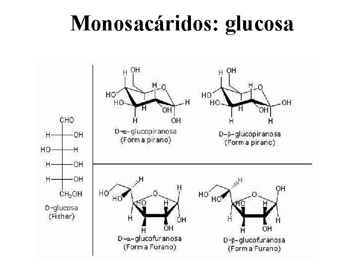 Monosacáridos: glucosa 