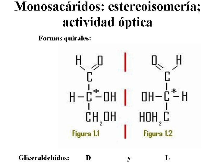 Monosacáridos: estereoisomería; actividad óptica 