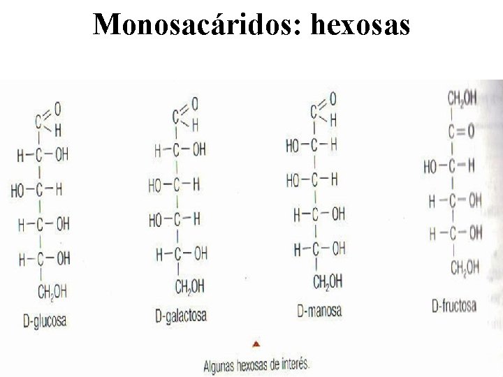 Monosacáridos: hexosas 
