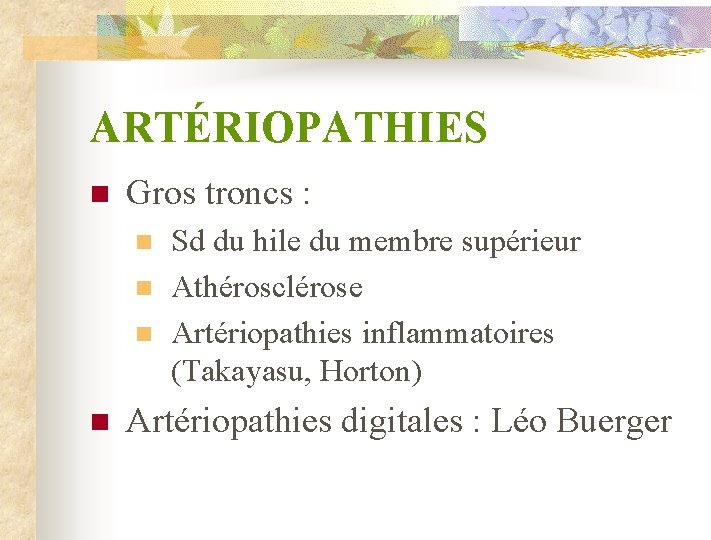 ARTÉRIOPATHIES n Gros troncs : n n Sd du hile du membre supérieur Athérosclérose