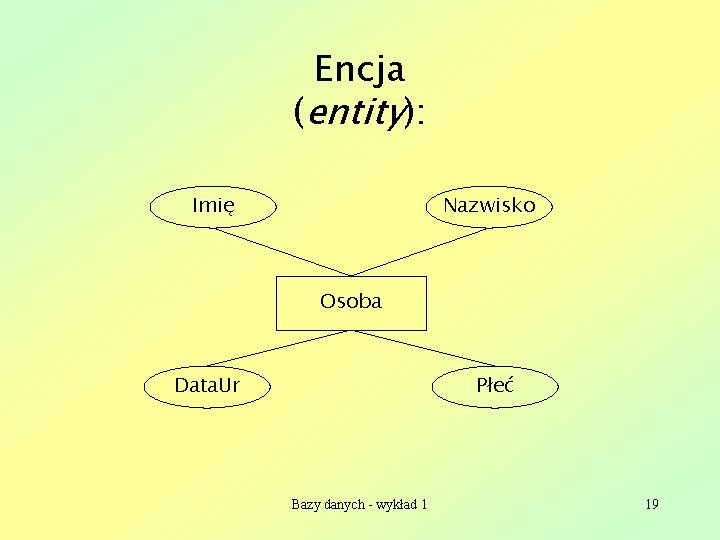 Encja (entity): Imię Nazwisko Osoba Data. Ur Płeć Bazy danych - wykład 1 19